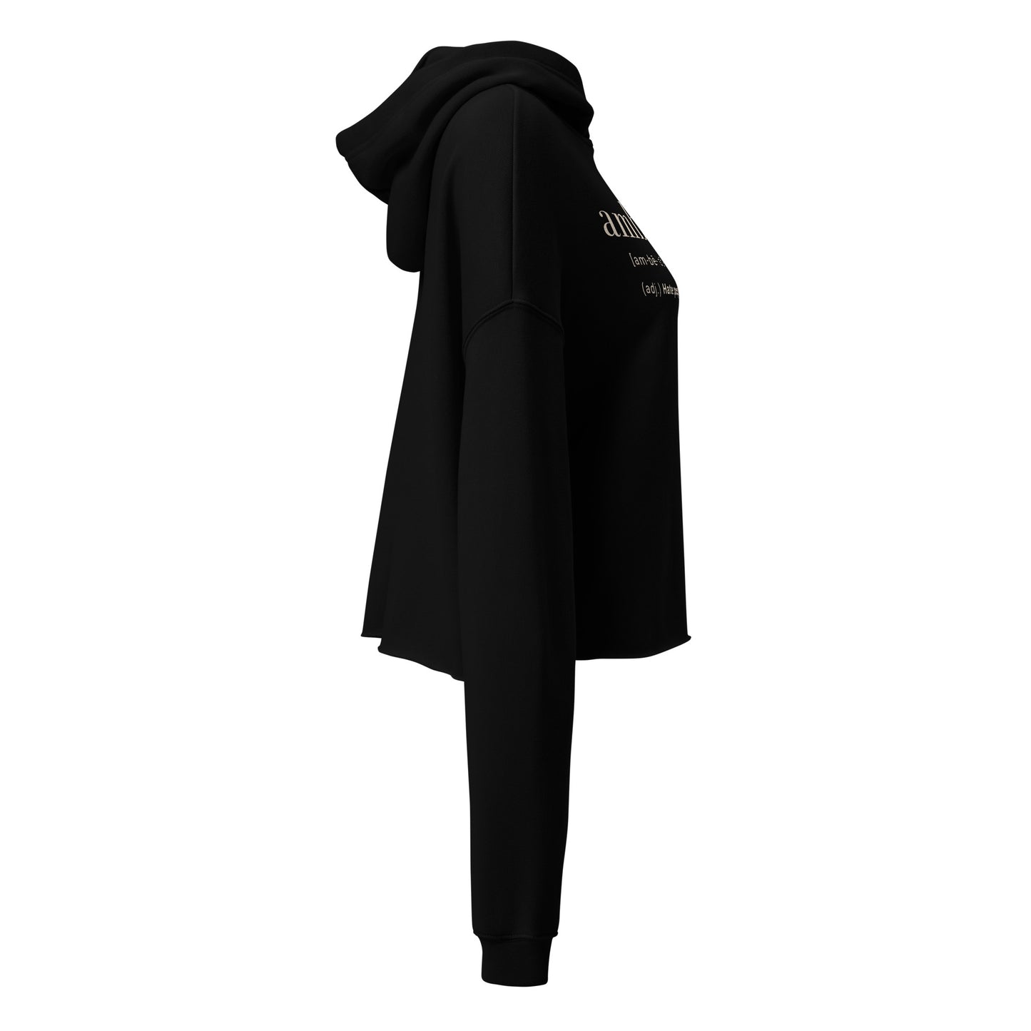 Ambisocial Crop Hoodie