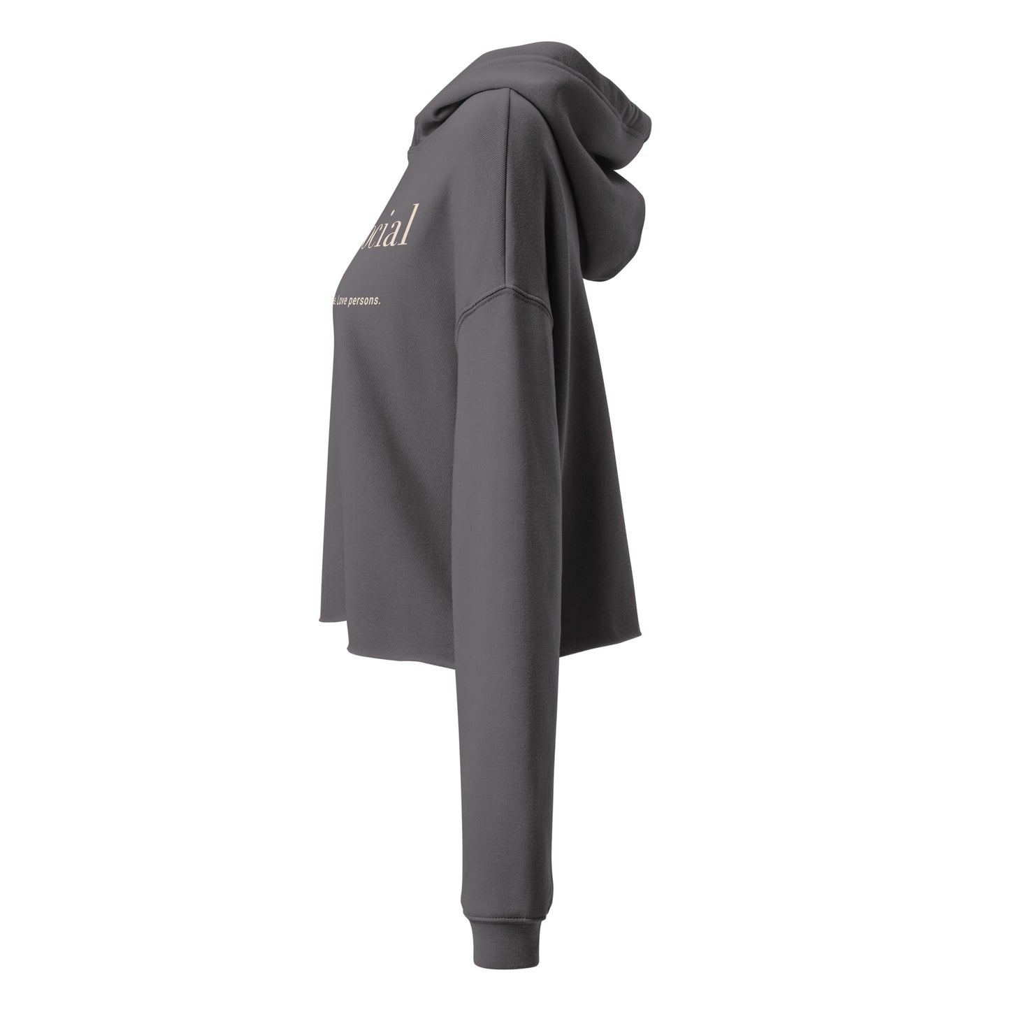 Ambisocial Crop Hoodie