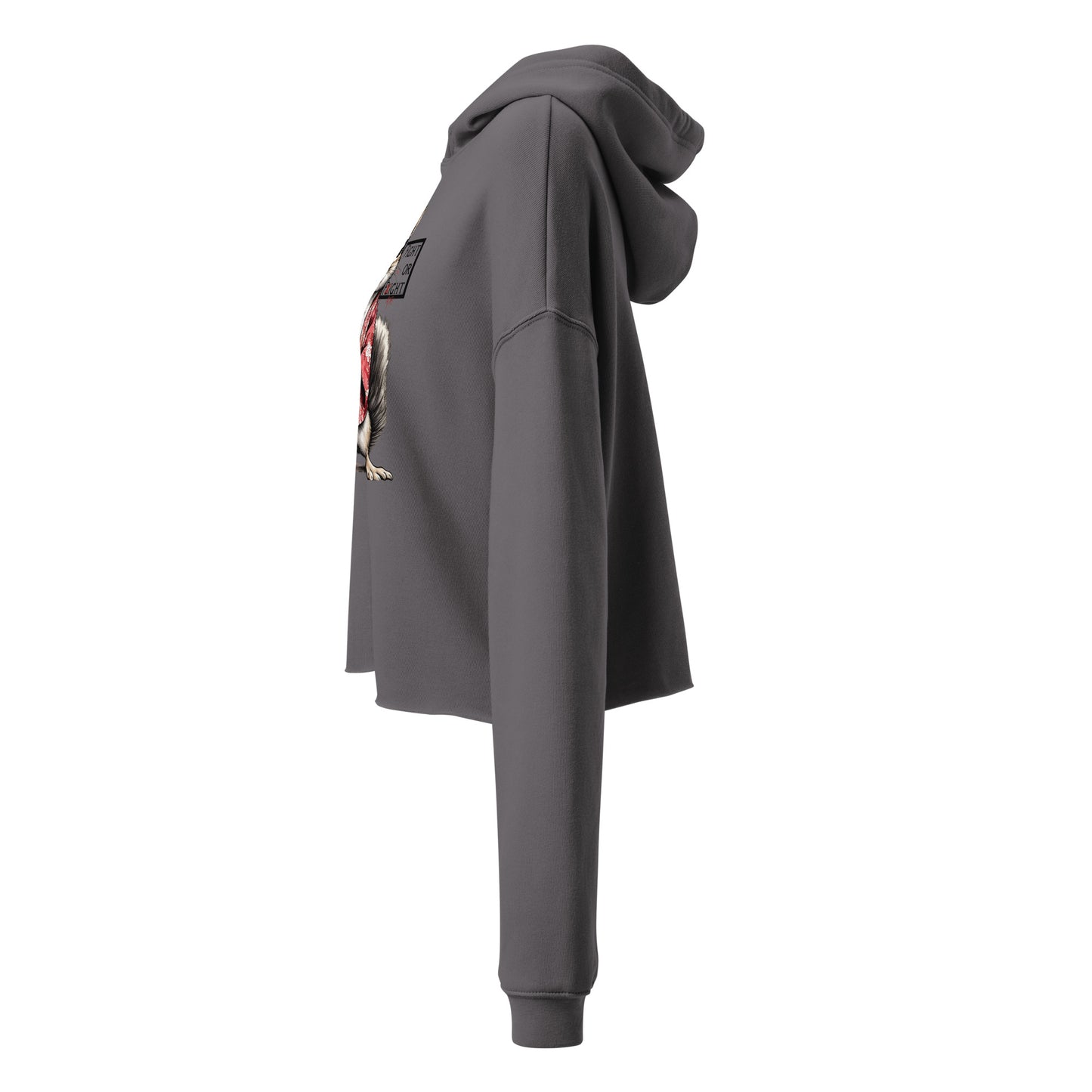 Stabby McSquirrel Crop Hoodie